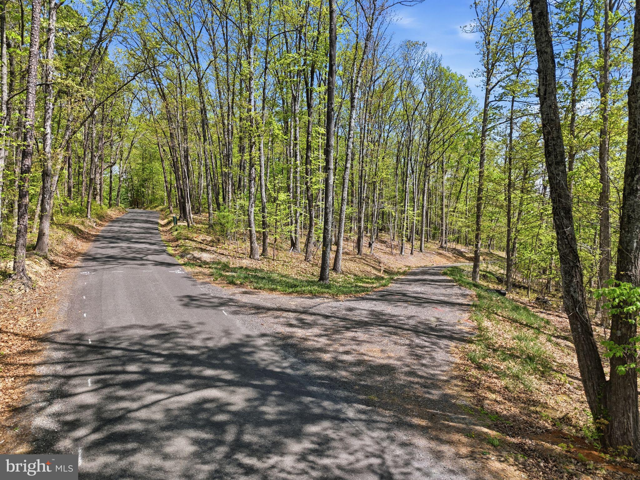 Lot 1 Obannons Mill Road Boston, VA 22713 - Photo 11 of 14