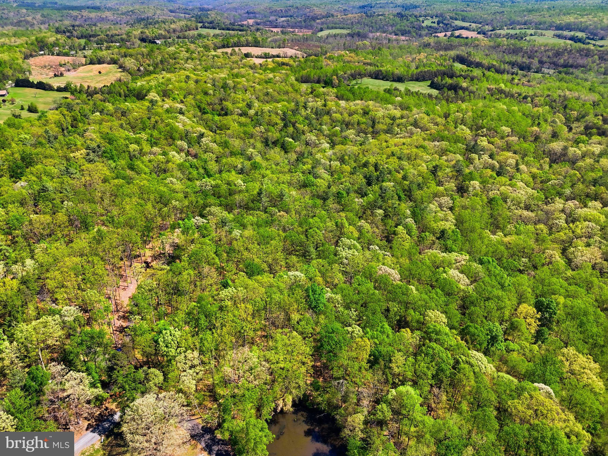 Lot 1 Obannons Mill Road Boston, VA 22713 - Photo 14 of 14
