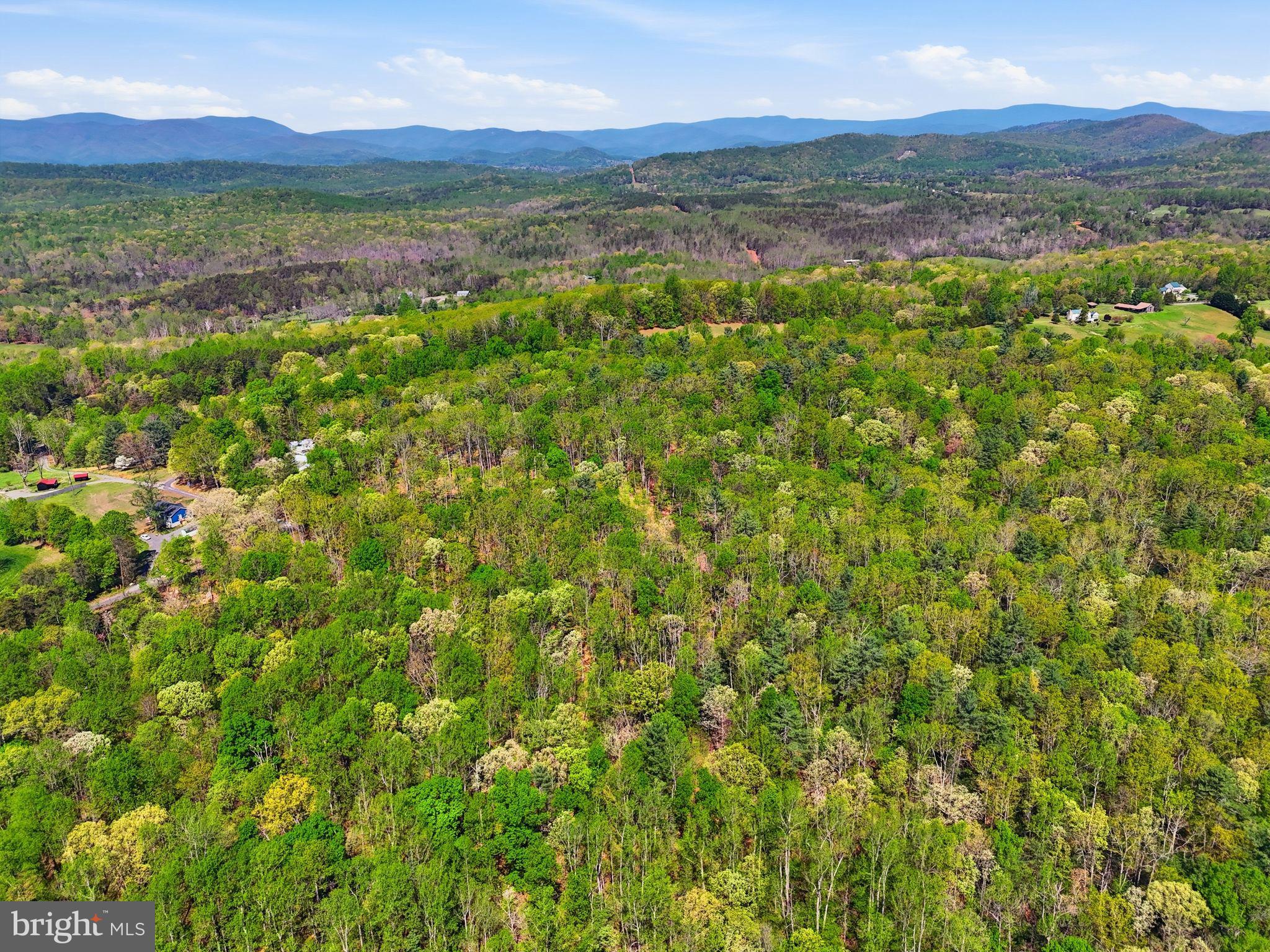 Lot 1 Obannons Mill Road Boston, VA 22713 - Photo 4 of 14