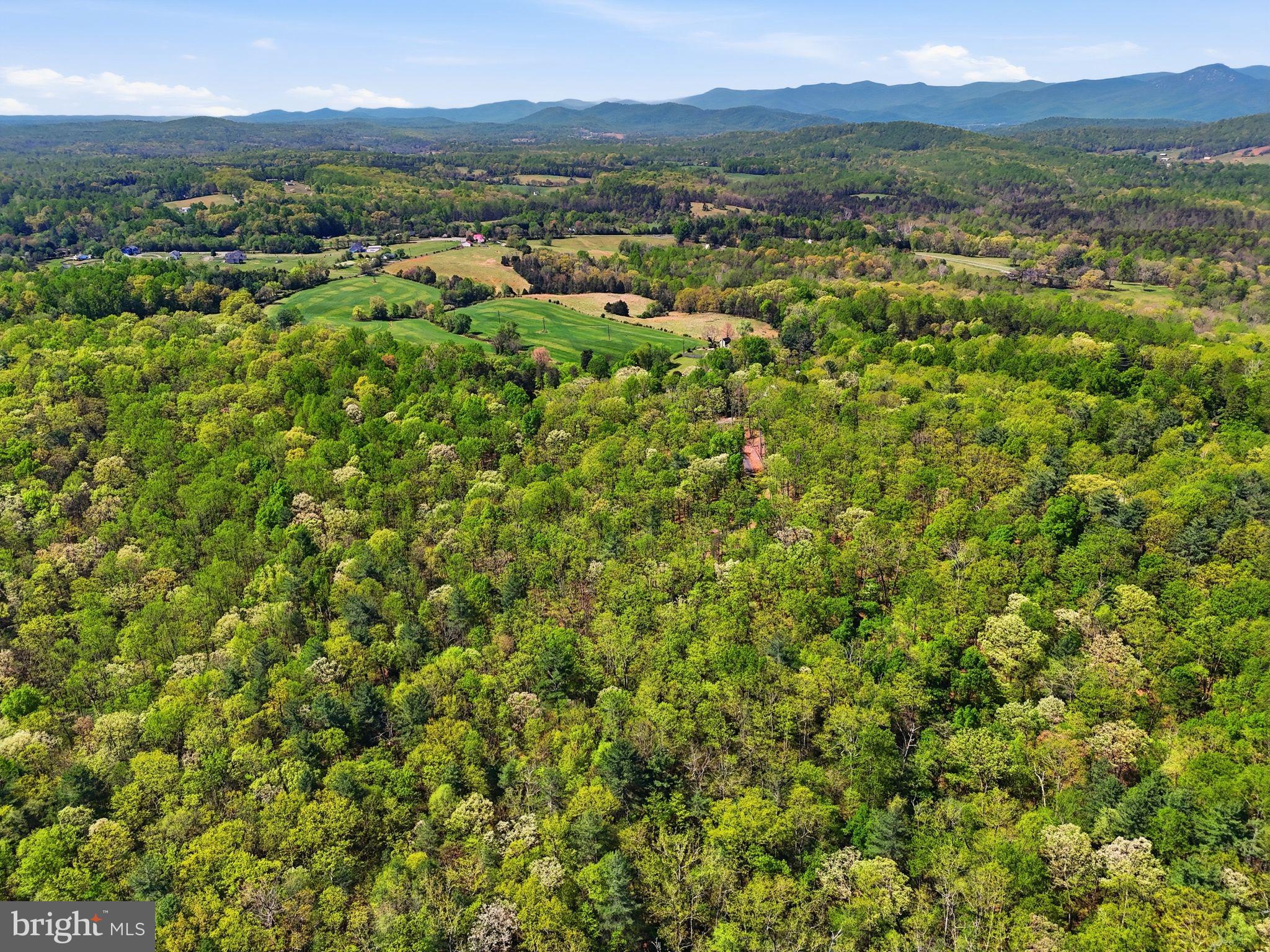Lot 1 Obannons Mill Road Boston, VA 22713 - Photo 5 of 14