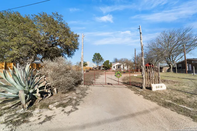 a view of a park with large trees