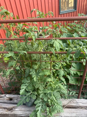 a view of front door