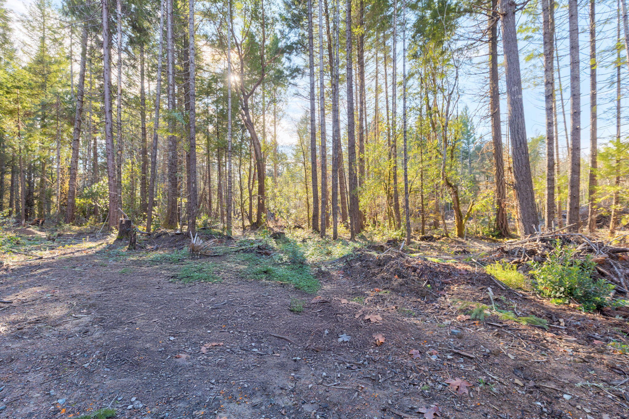 101 3 Mill Road Selma, OR 97538 - Photo 12 of 39 15-web-or-mls-101-3-mill-rd