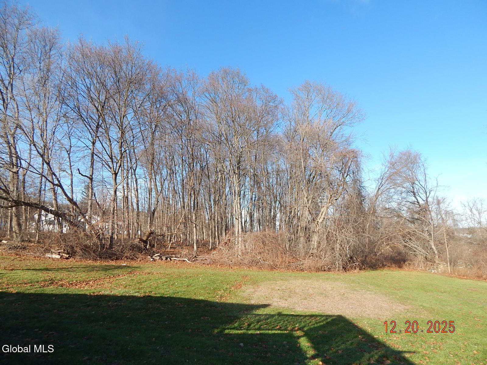 250 Old Quarry Road Feura Bush, NY 12067 - Photo 29 of 37 DSCN3364