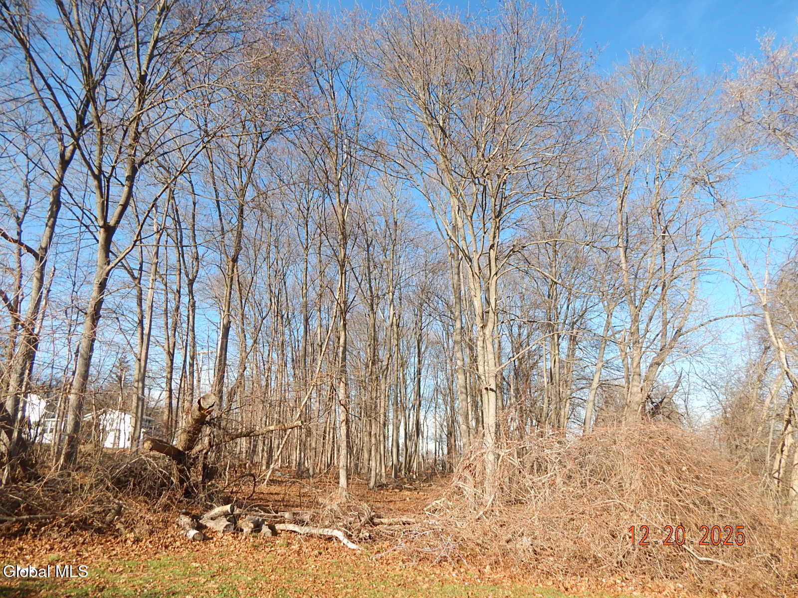 250 Old Quarry Road Feura Bush, NY 12067 - Photo 31 of 37 DSCN3367