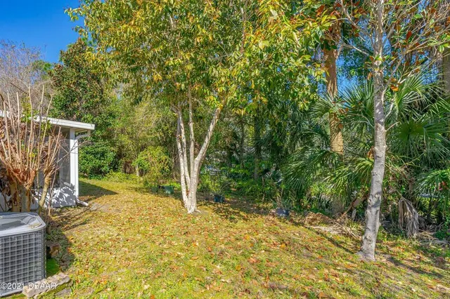 a view of a yard with potted plants and large trees