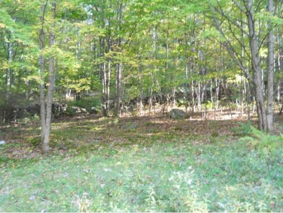 0 Davidson Hill Road Chester, VT 05143 - Photo 1 of 1