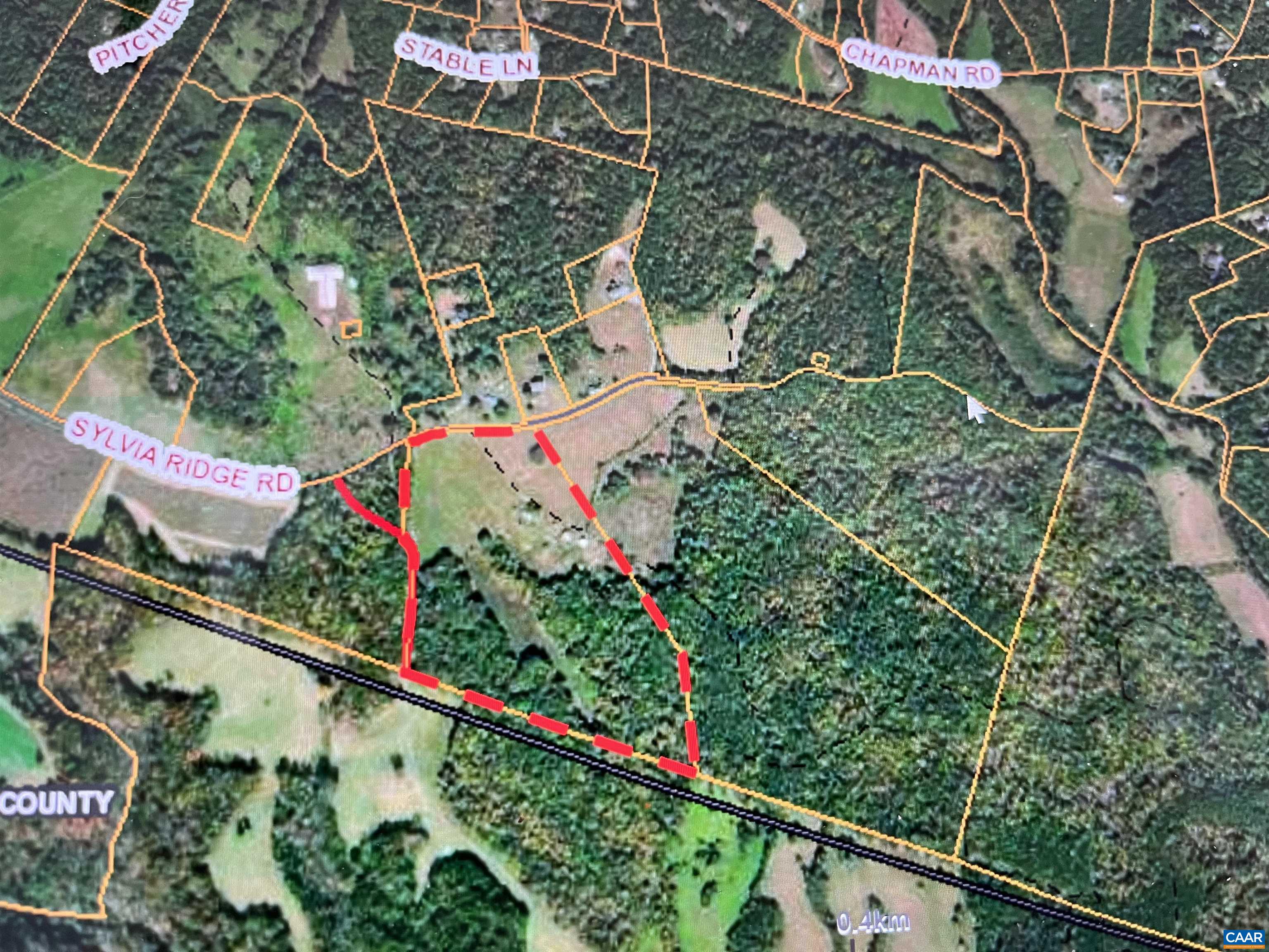 a view of a yard with plants