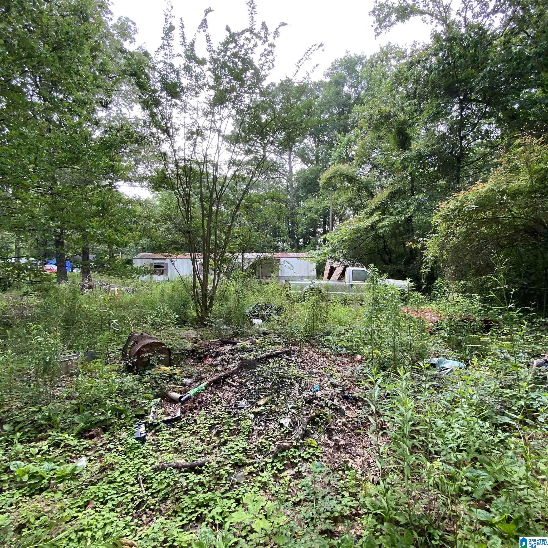 51 Taft Road Ashville, AL 35953 - Photo 8 of 12