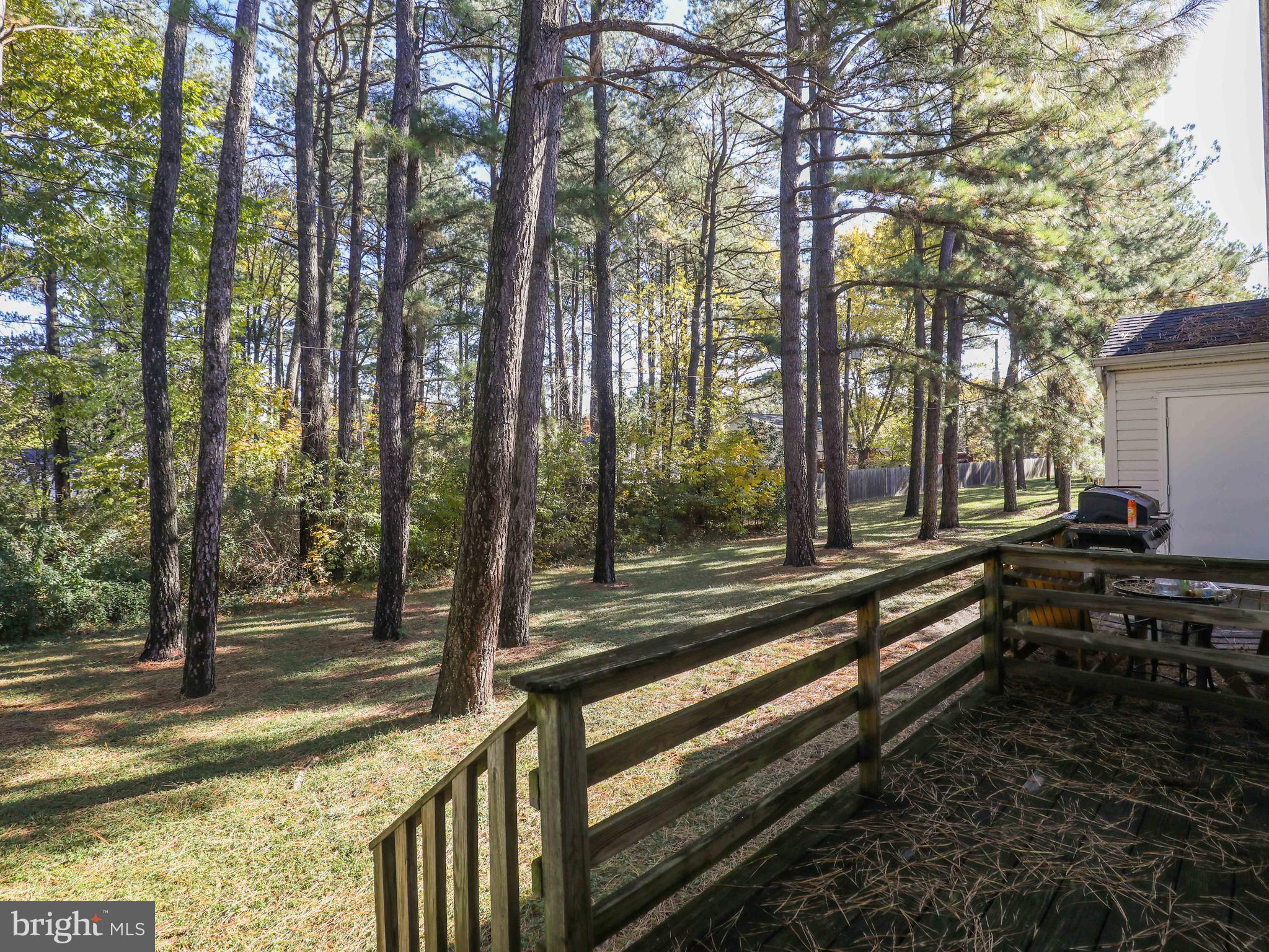 240 Brunswick Road Stephens City, VA 22655 - Photo 19 of 22 Deck