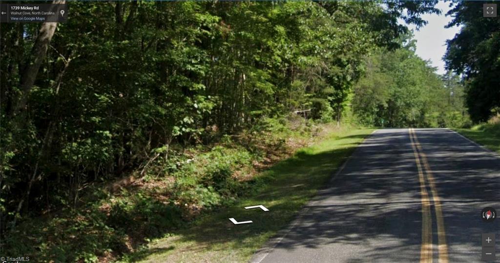 7.99 Mickey Road Westfield, NC 27053 - Photo 4 of 14 Gallery Image 4