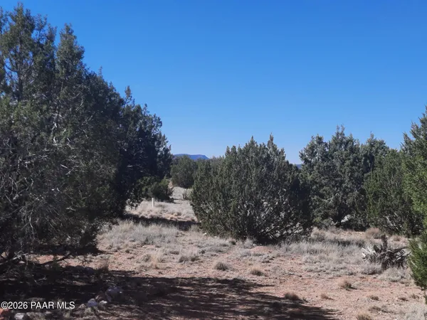 a view of dirt field with trees in background