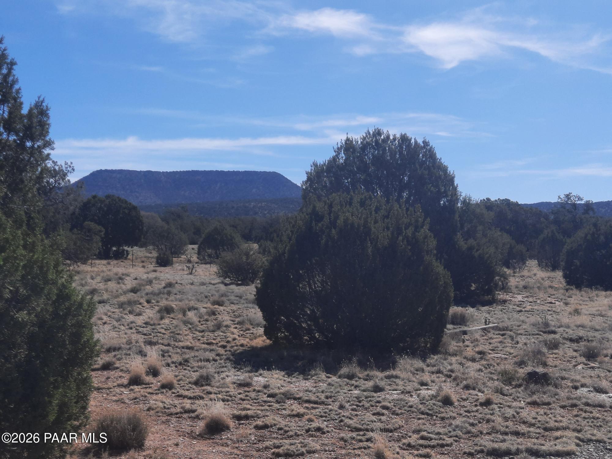 37500 Bullet Road Seligman, AZ 86337 - Photo 32 of 40 20260323_102229