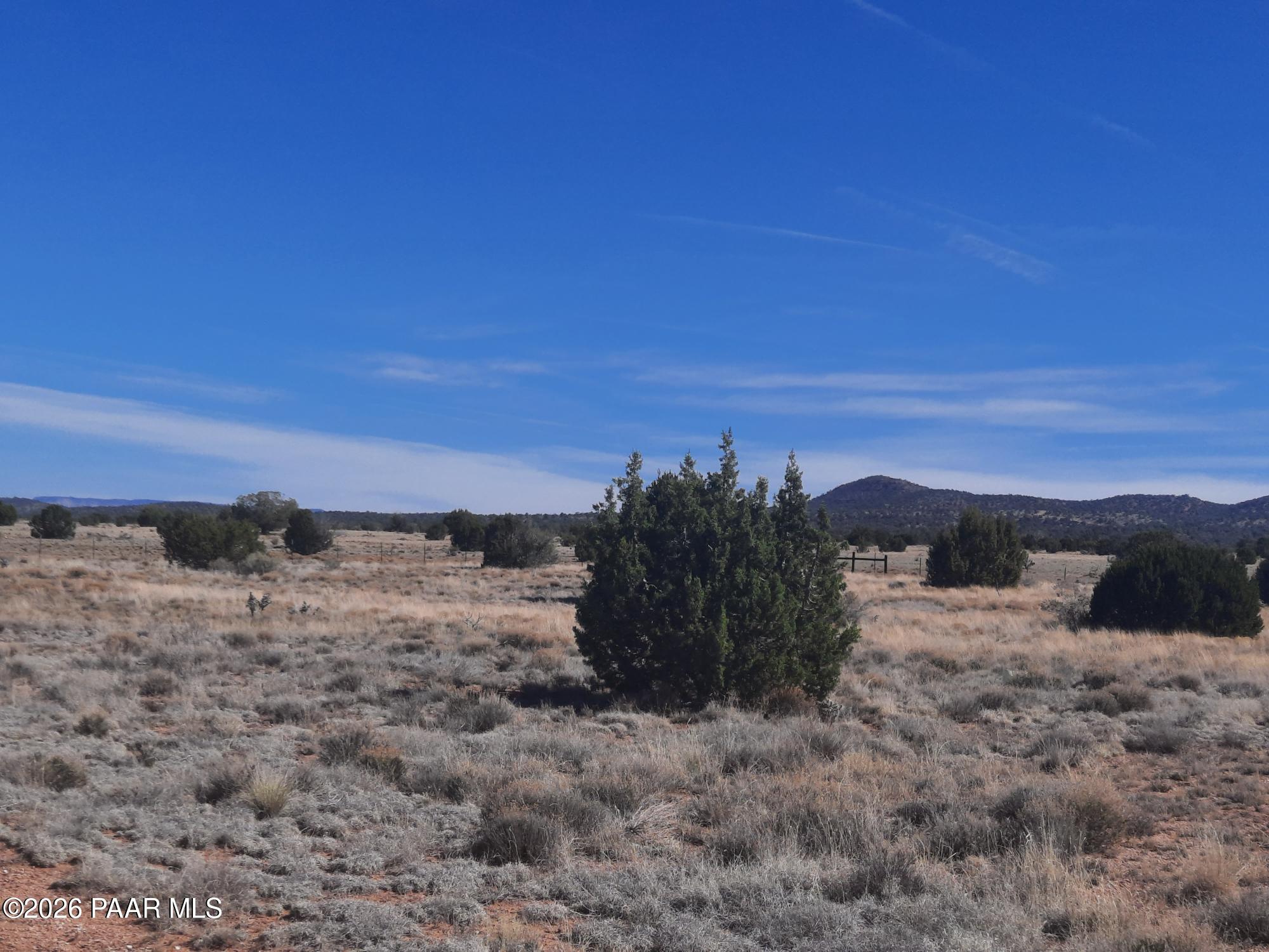 37500 Bullet Road Seligman, AZ 86337 - Photo 35 of 40 20260323_102427