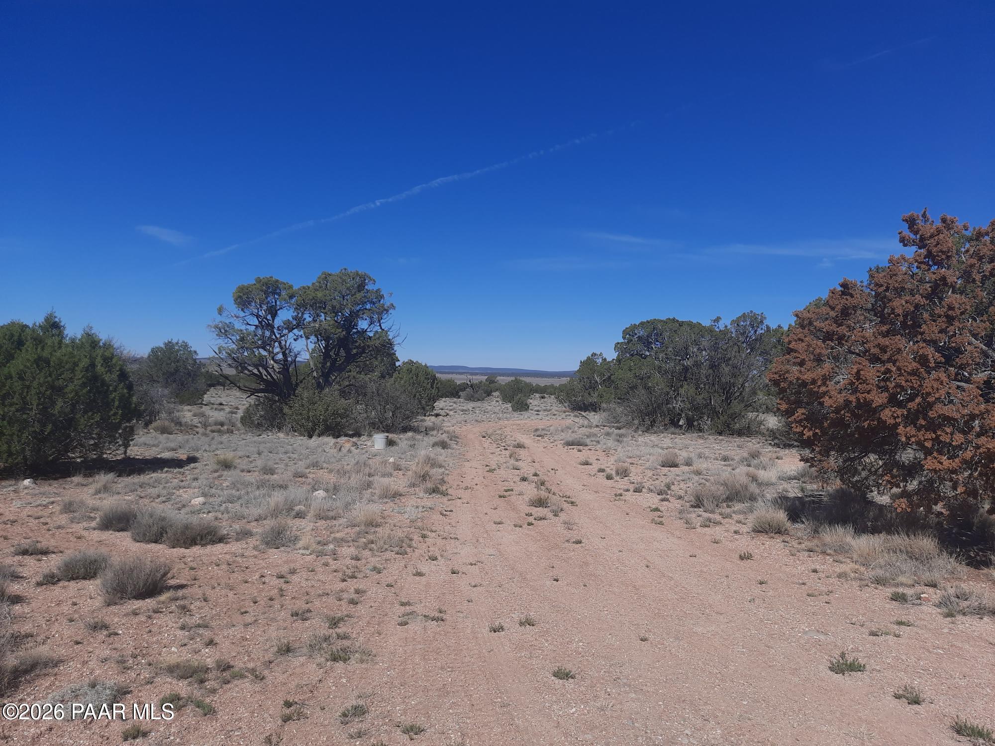 37500 Bullet Road Seligman, AZ 86337 - Photo 37 of 40 20260323_102654