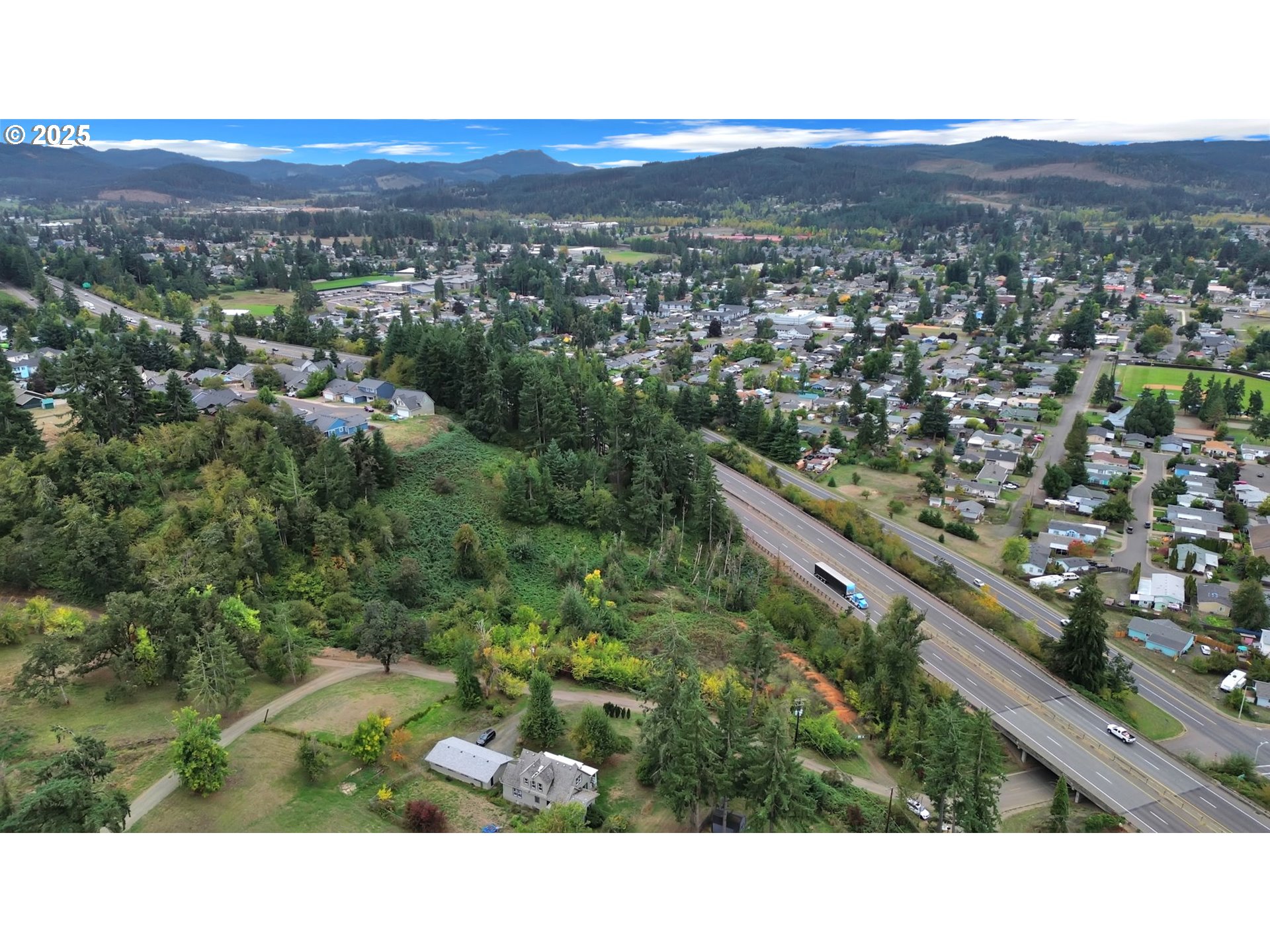 Landess Cottage Grove, OR 97424 - Photo 11 of 20 a view of city and mountain