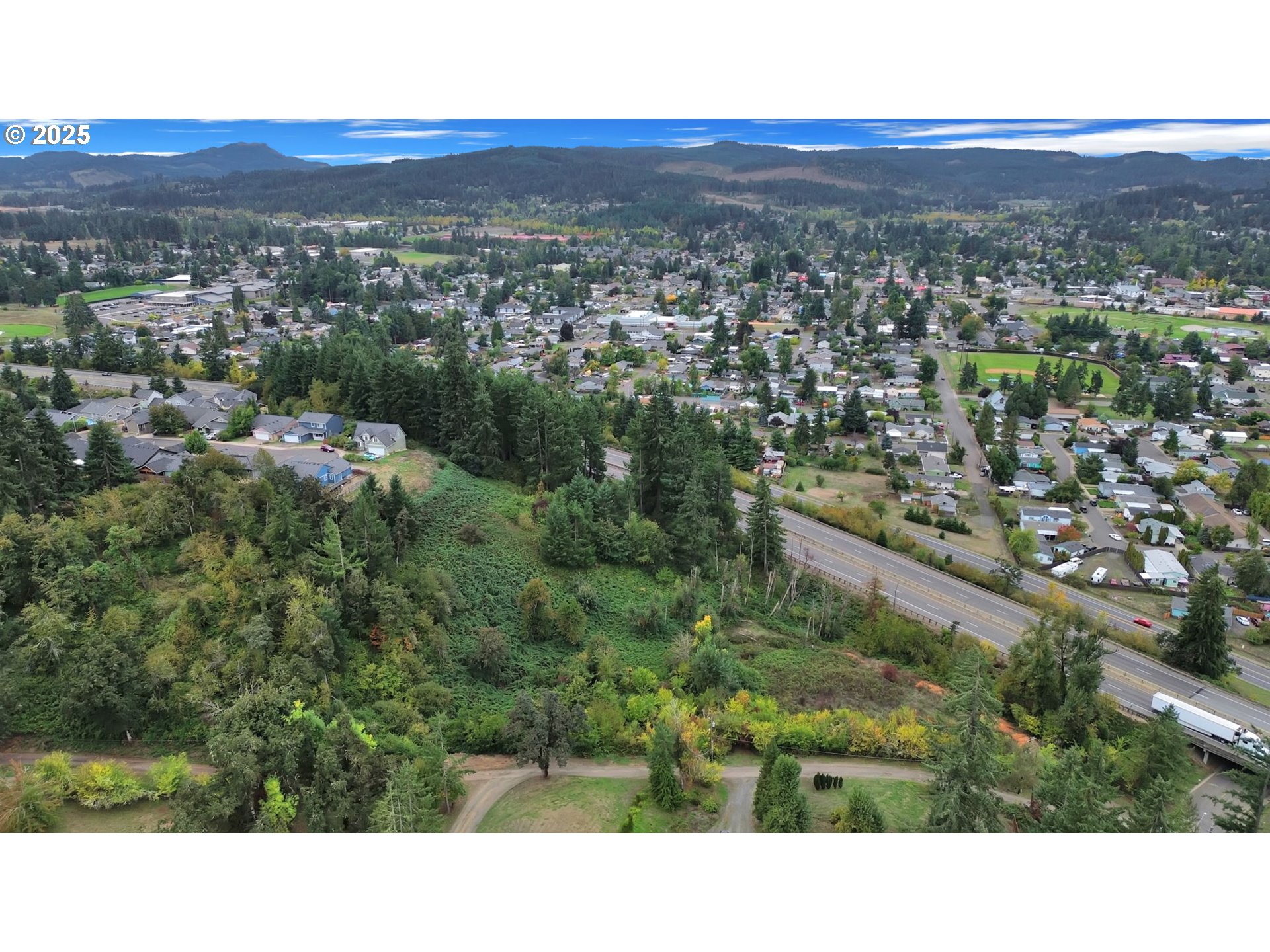 Landess Cottage Grove, OR 97424 - Photo 15 of 20 a view of city and mountain