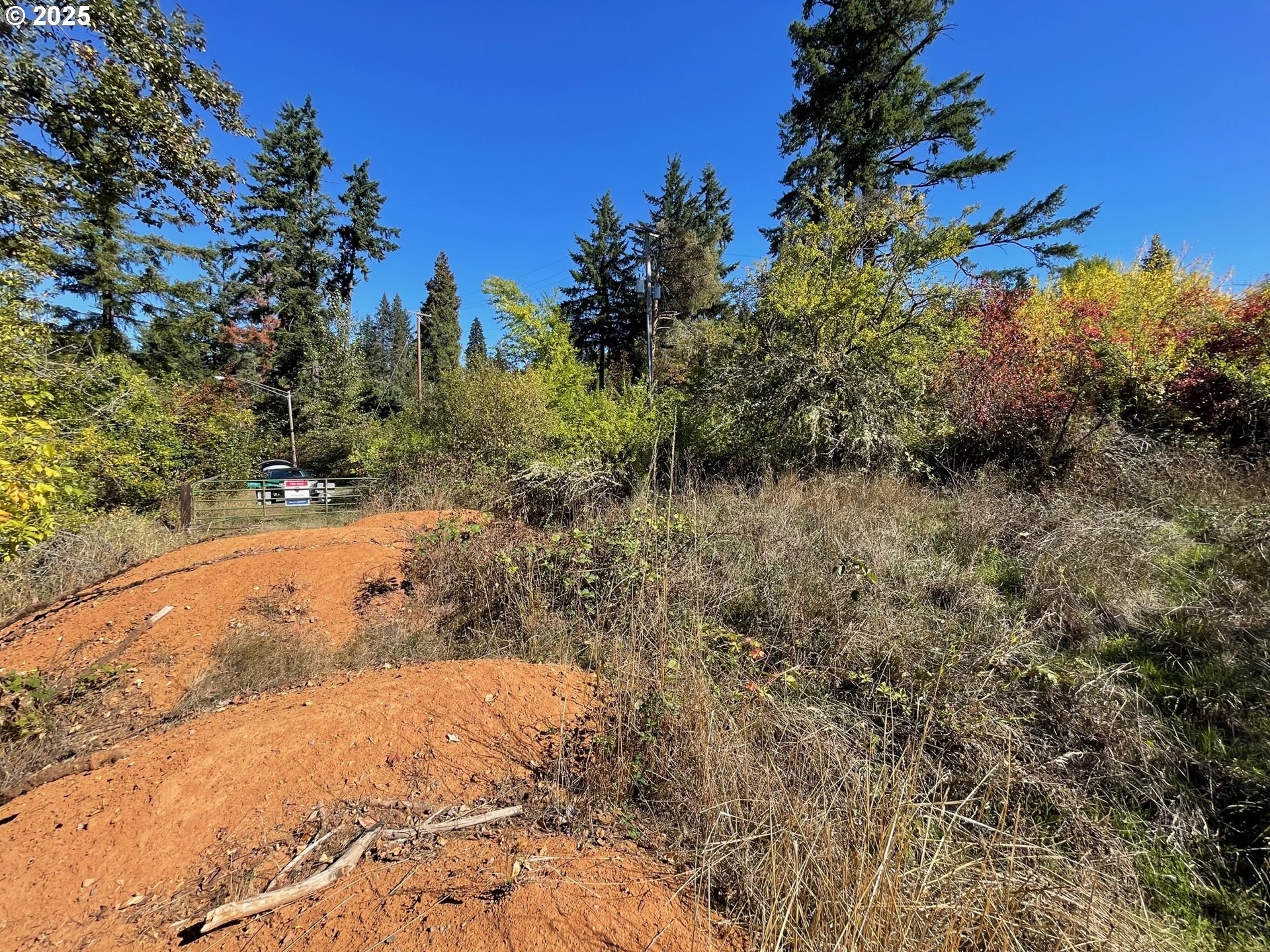 Landess Cottage Grove, OR 97424 - Photo 17 of 20 a view of a yard with plants and trees