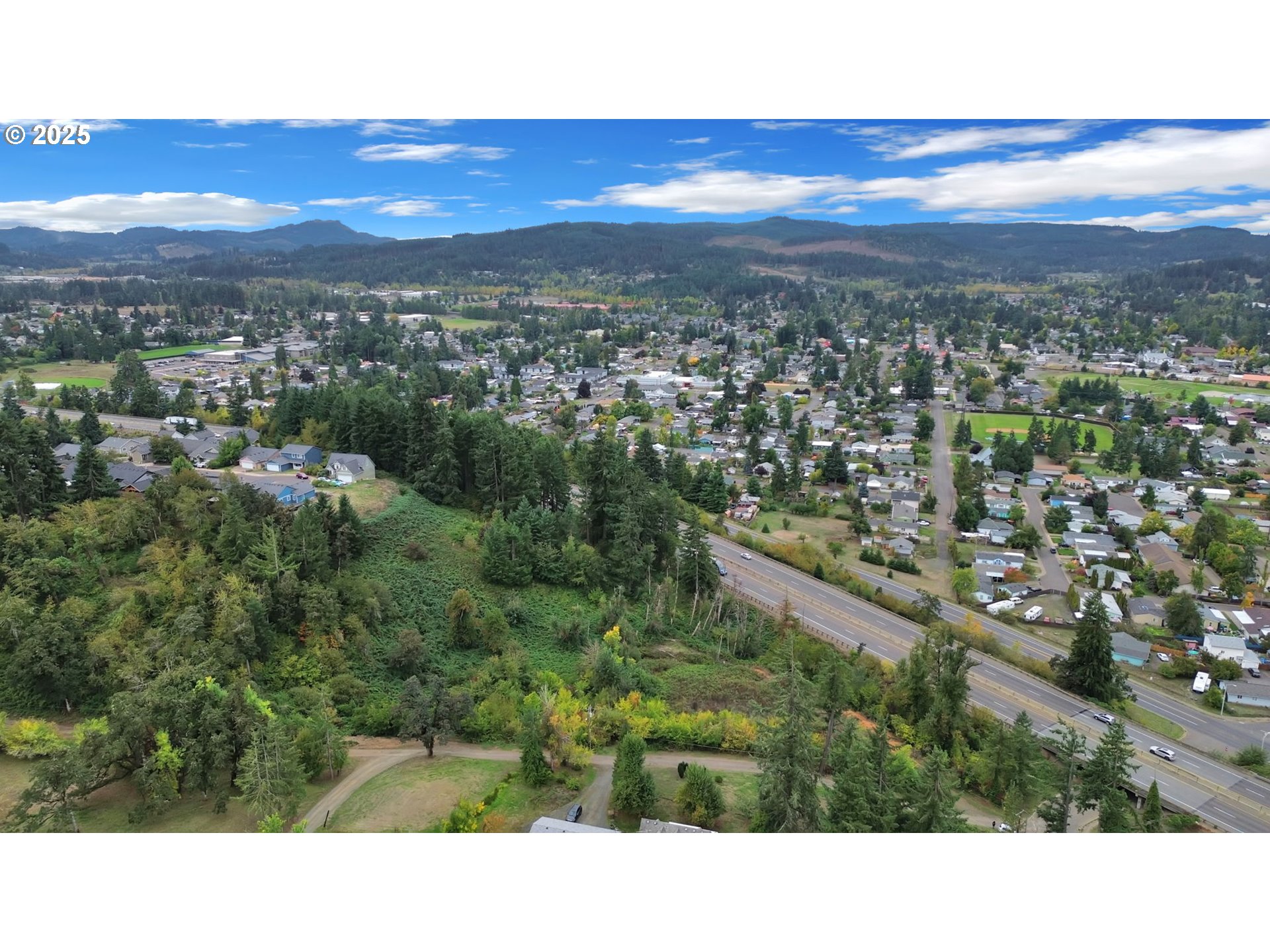 Landess Cottage Grove, OR 97424 - Photo 18 of 20 a view of city and mountain
