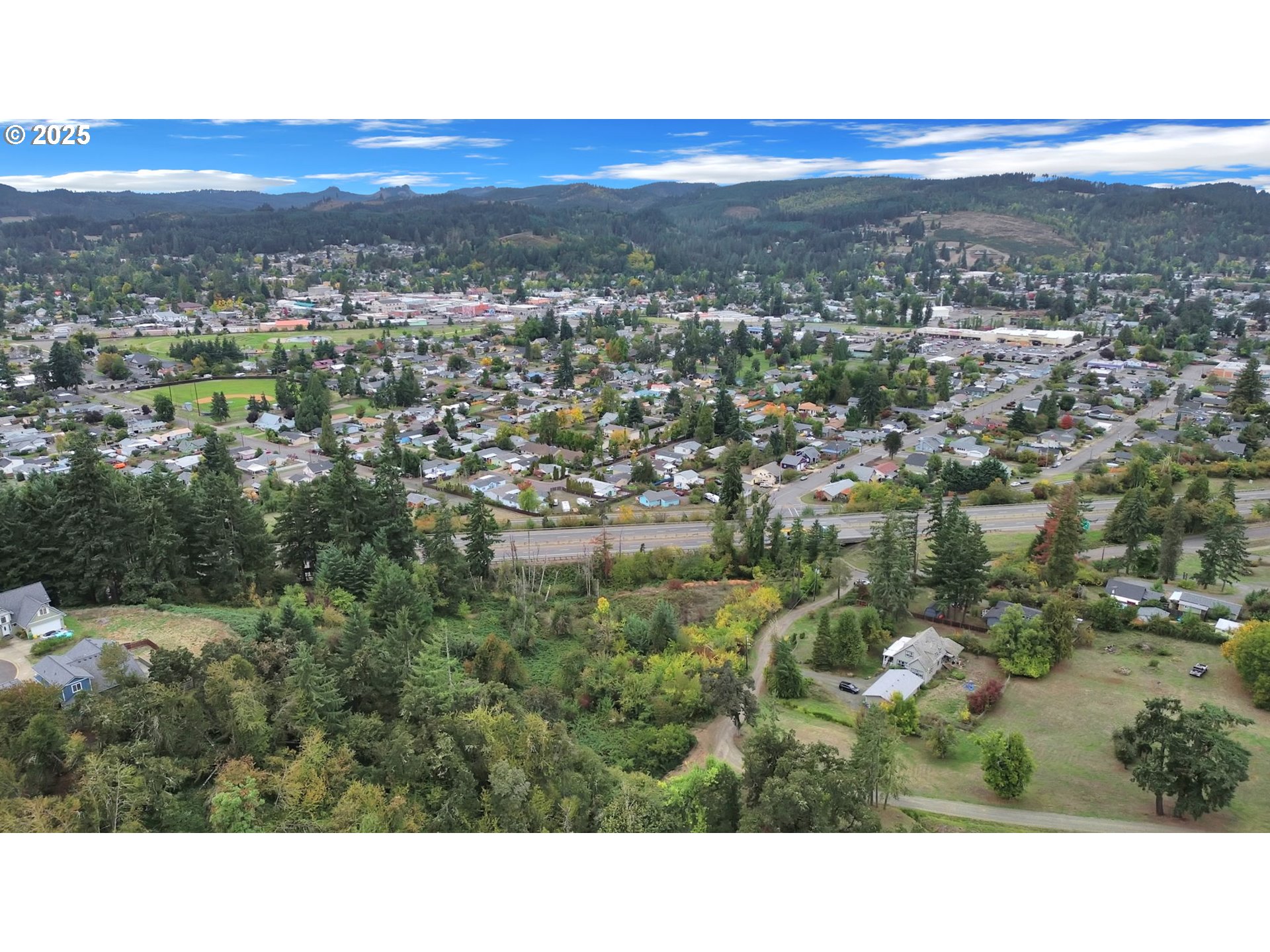 Landess Cottage Grove, OR 97424 - Photo 19 of 20 a view of city and mountain