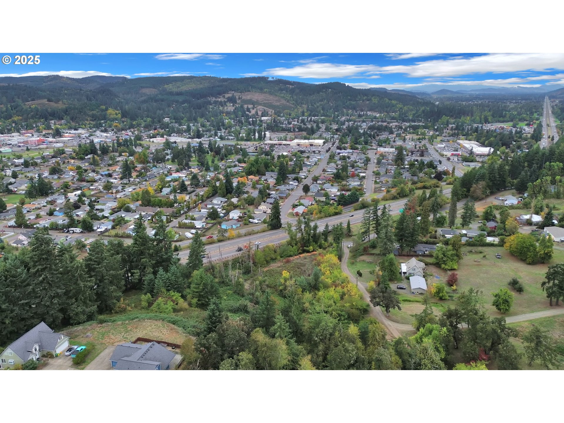 Landess Cottage Grove, OR 97424 - Photo 20 of 20 a view of city and mountain