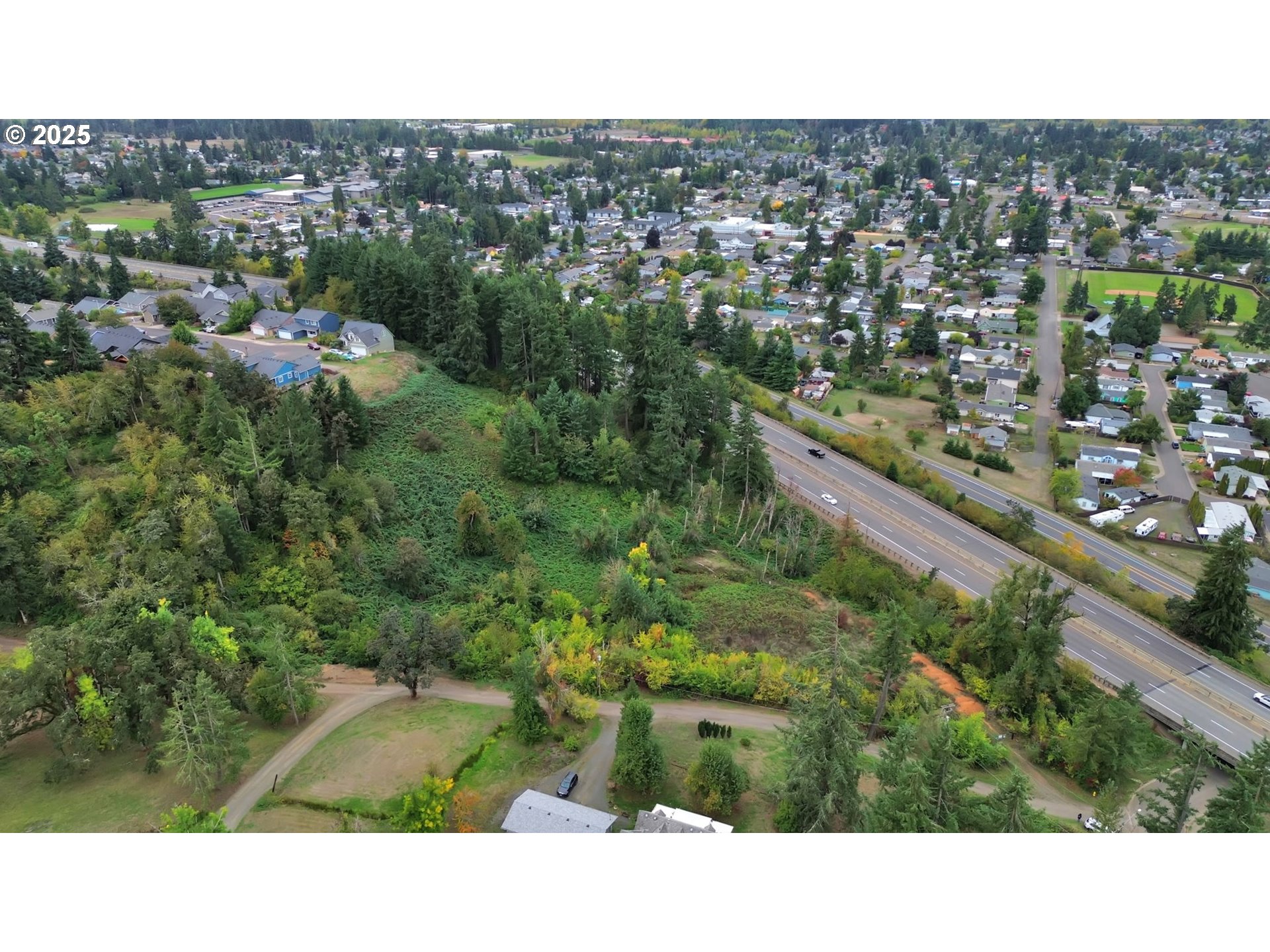 Landess Cottage Grove, OR 97424 - Photo 2 of 20 a view of a city