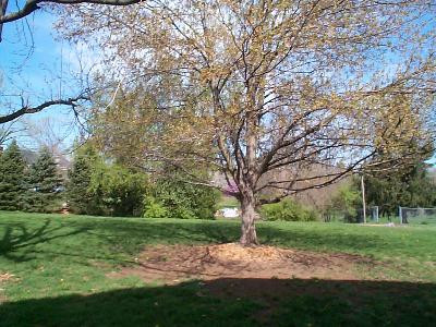2081 Fallon Road Lexington, KY 40504 - Photo 4 of 5 Photo 4