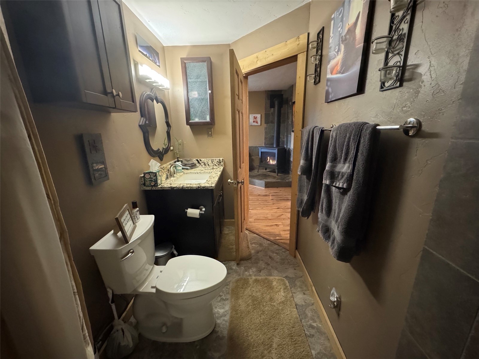 219 Ansley Road Alma, CO 80420 - Photo 14 of 18