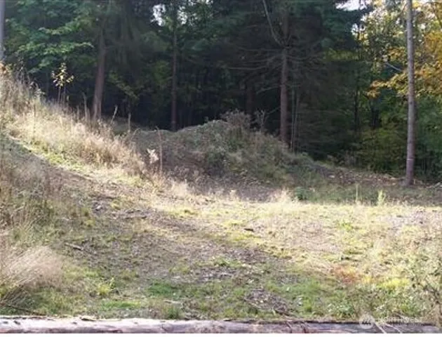 $1,430,000 | 19728 Forest Canyon Road East, Sumner, WA 98391