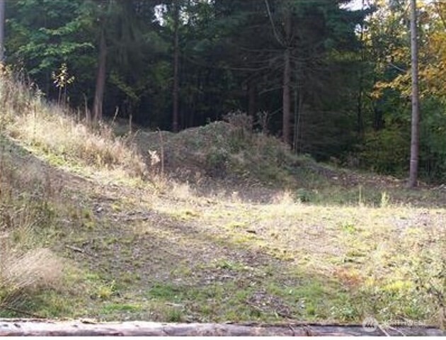 19728 Forest Canyon Road East Sumner, WA 98391 - Photo 10 of 10