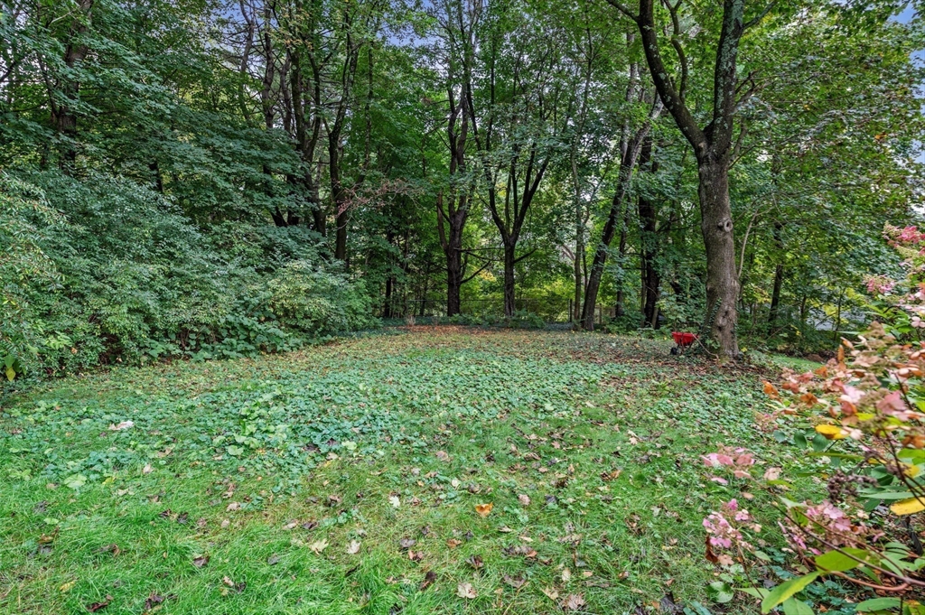 668 South Main Street Sharon, MA 02067 - Photo 38 of 42