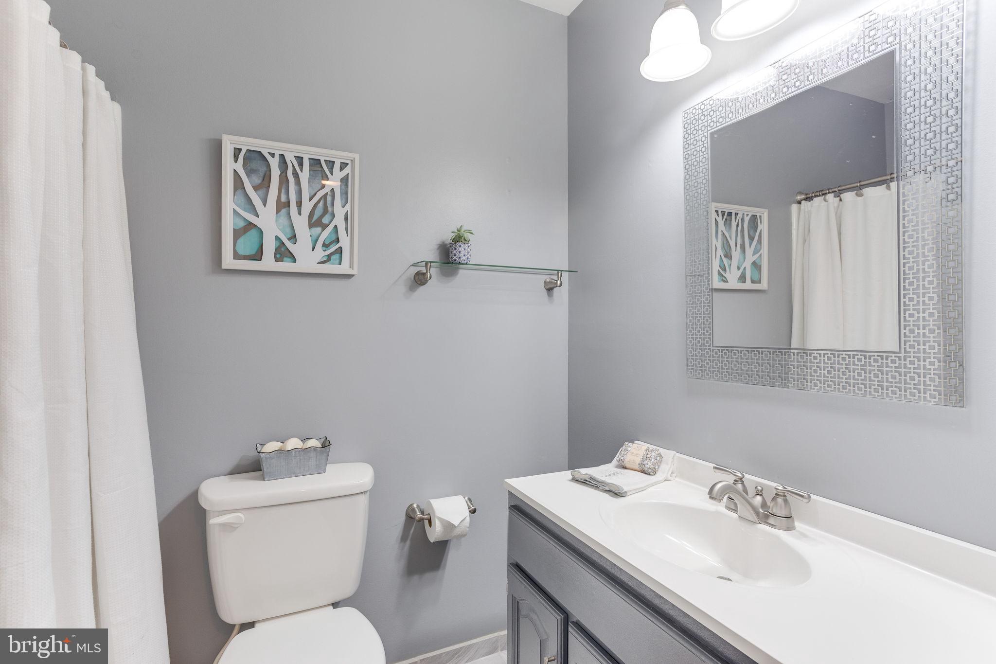 14813 Wood Home Road Centreville, VA 20120 - Photo 15 of 22 Guest full bath