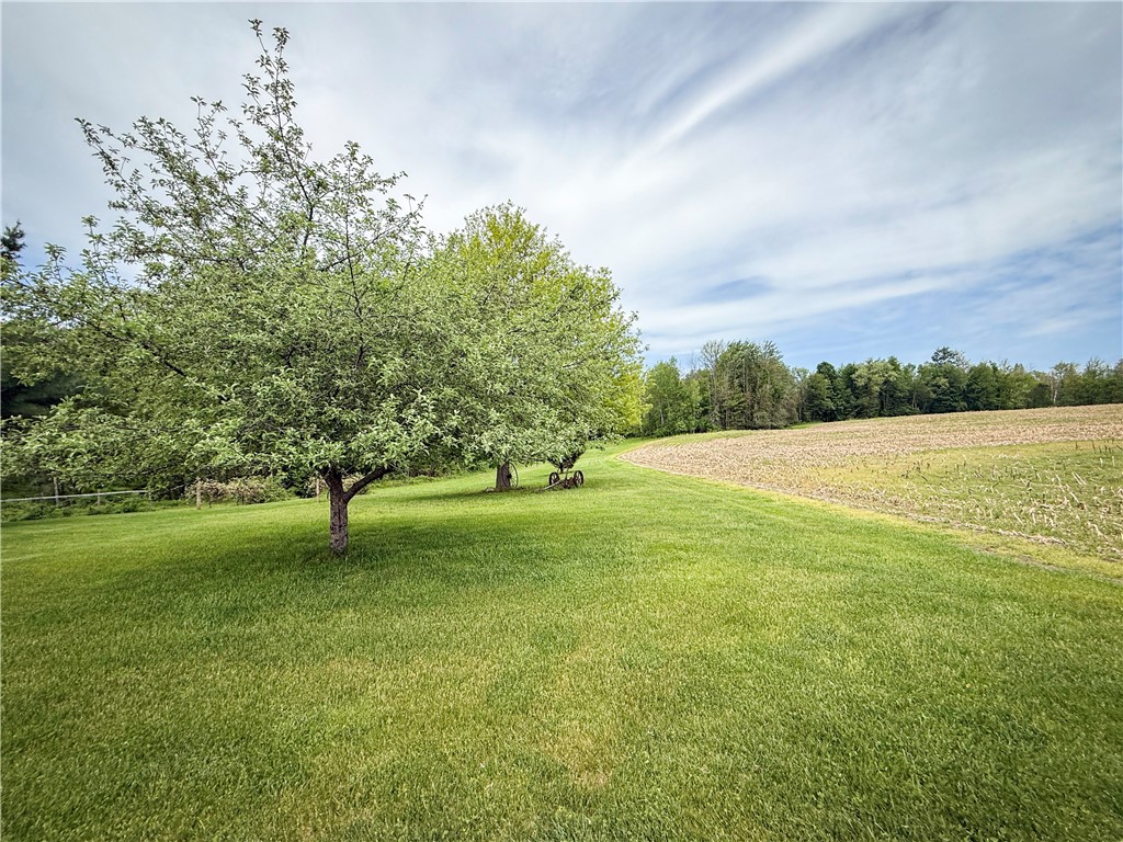 Gifford Road Hannibal, NY 13074 - Photo 9 of 50