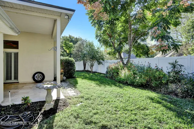 a view of a backyard with potted plants and large tree