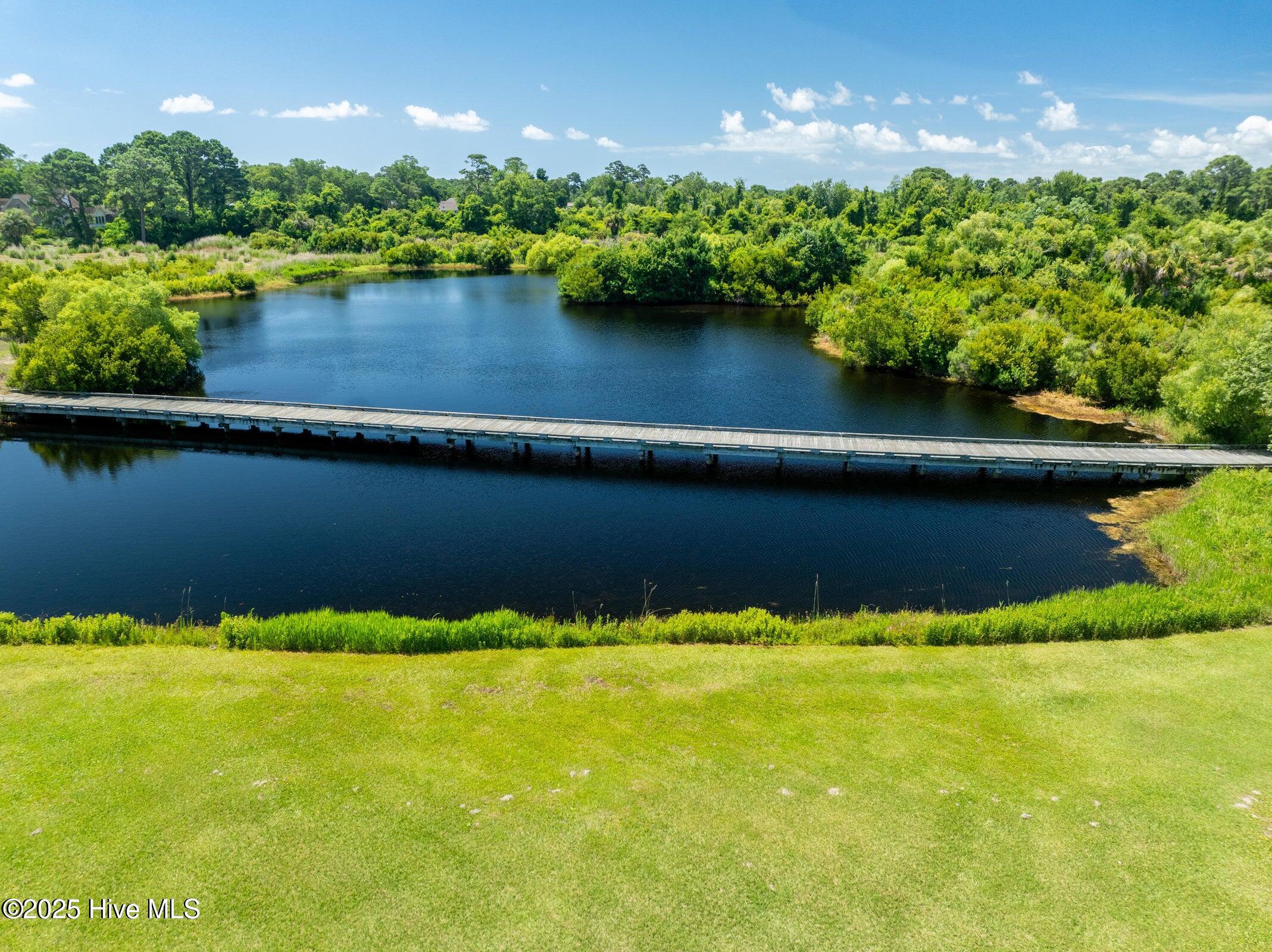 219 Rouen Court Wilmington, NC 28412 - Photo 44 of 49 s1