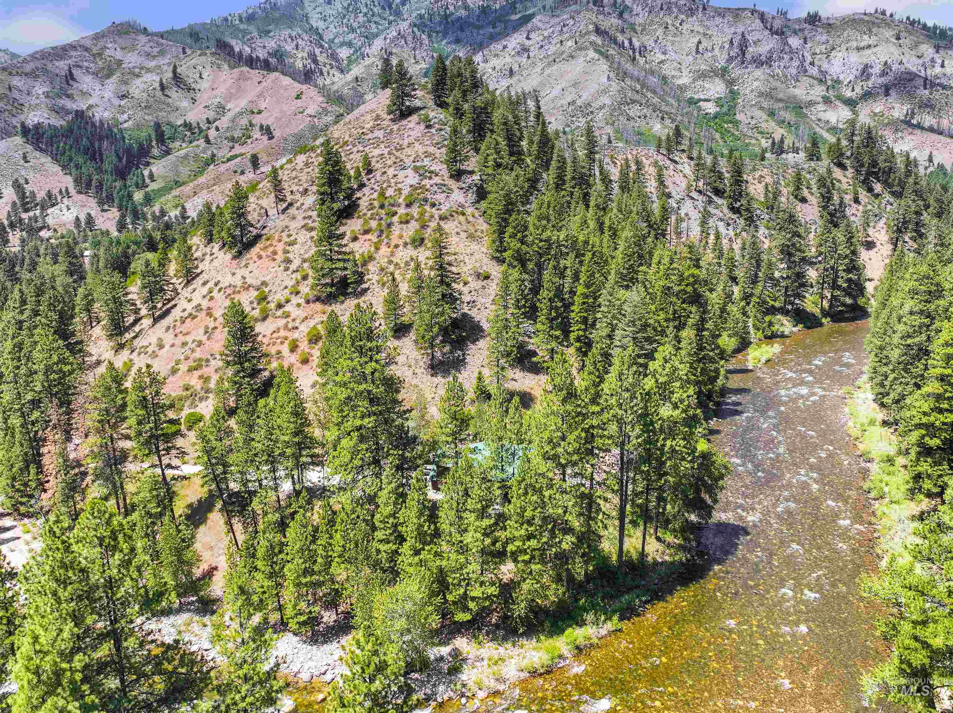 224 Dakota Road Mountain Home, ID 83647 - Photo 46 of 50 Lush forested landscape featuring a clear river, mature evergreen trees, and mountainous terrain