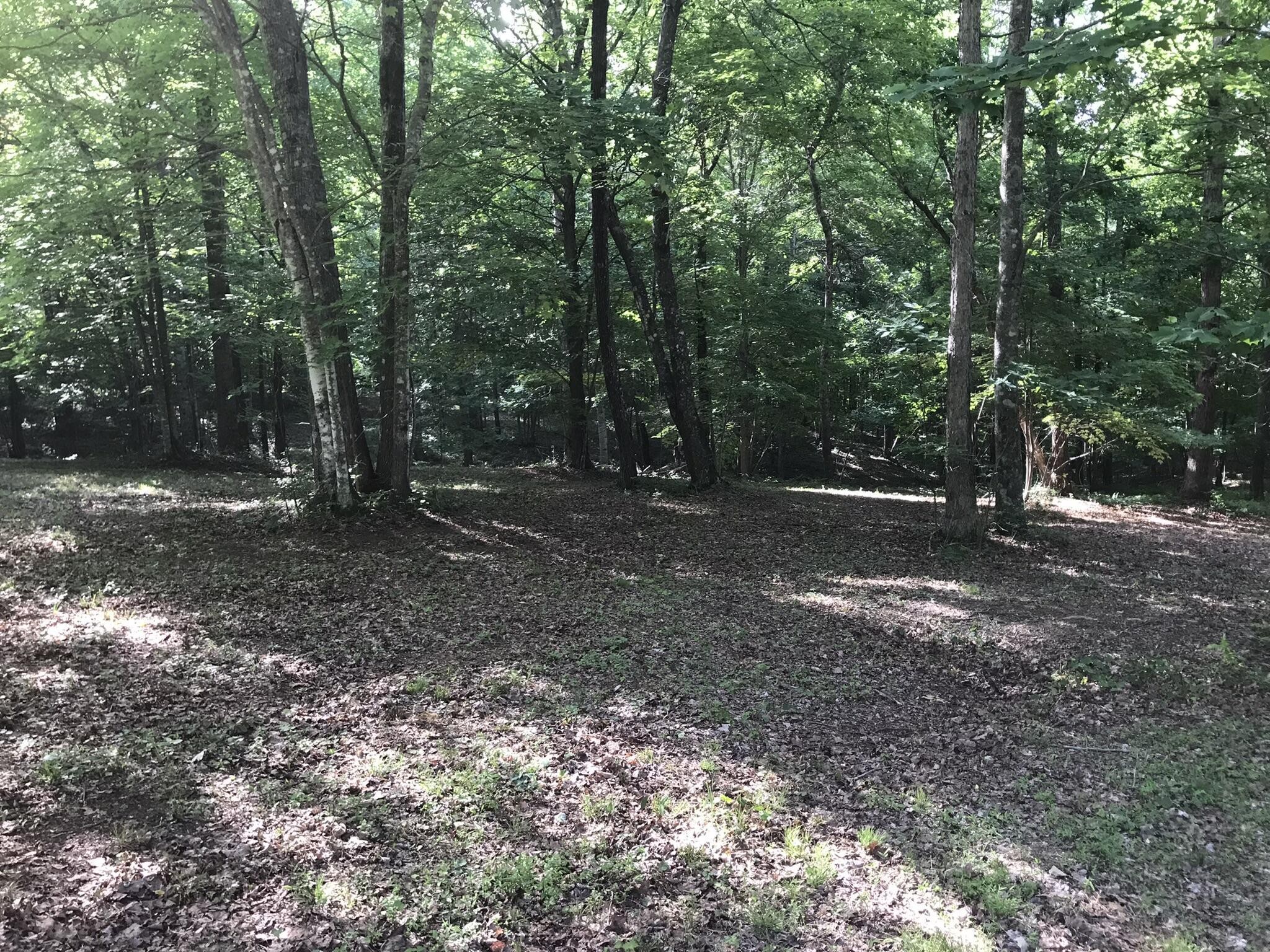 503 Wilderness Way Dunlap, TN 37327 - Photo 15 of 22