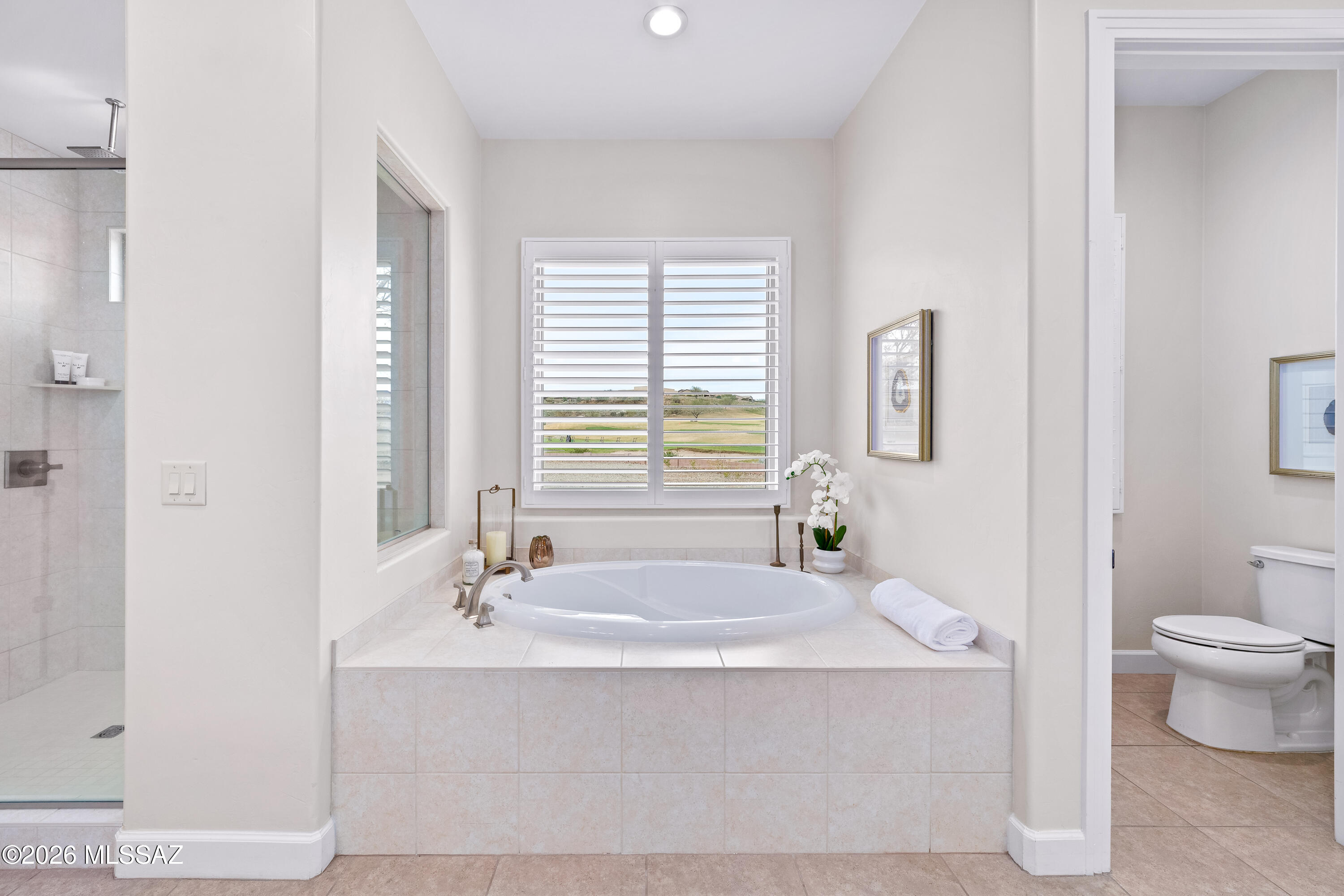 36067 Basin Camp Road Tucson, AZ 85739 - Photo 15 of 28 Gallery Image 15