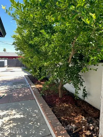 a view of a garden with plants