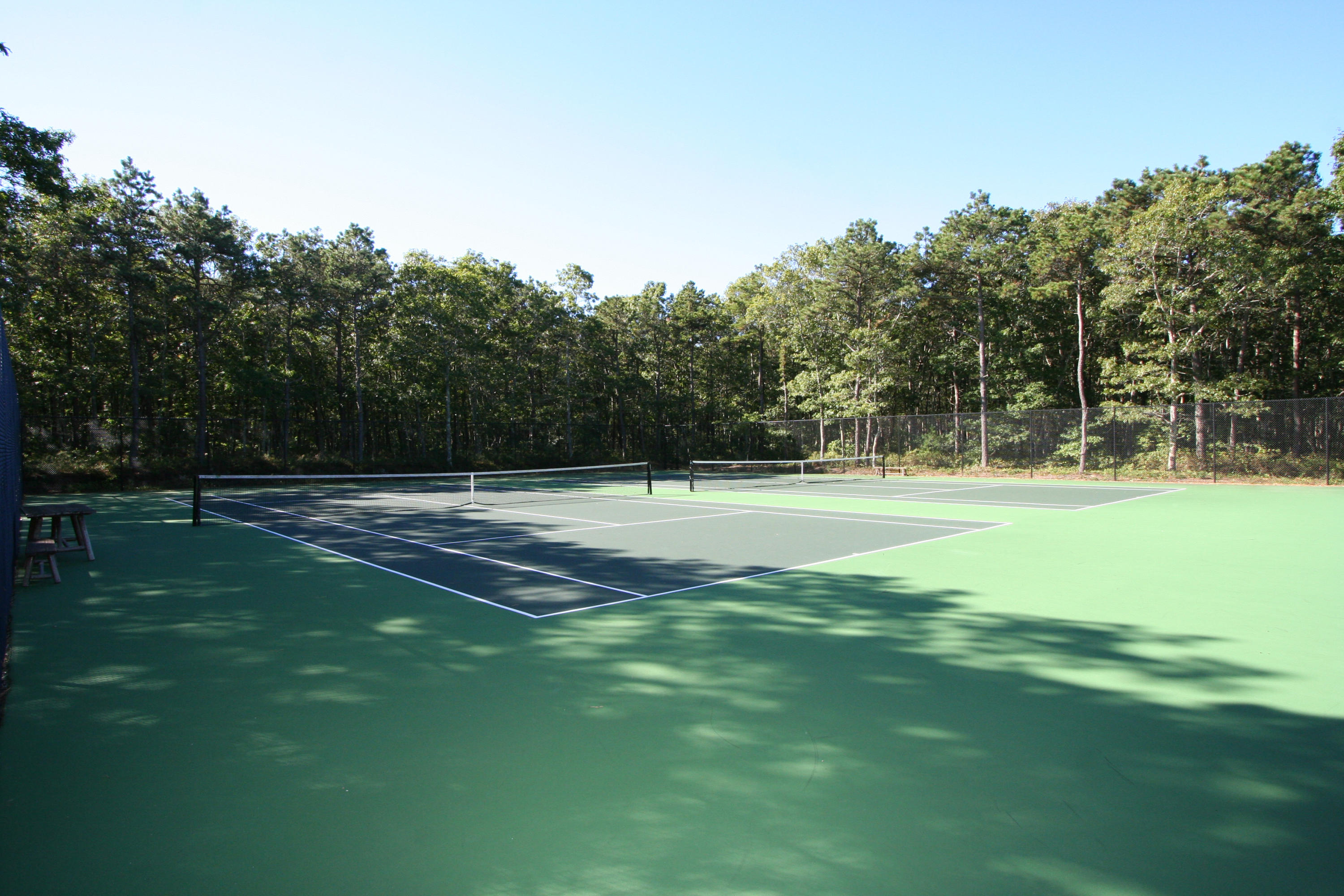 645 Scraggy Neck Road Cataumet, MA 02534 - Photo 28 of 32 a view of a tennis ground with large trees