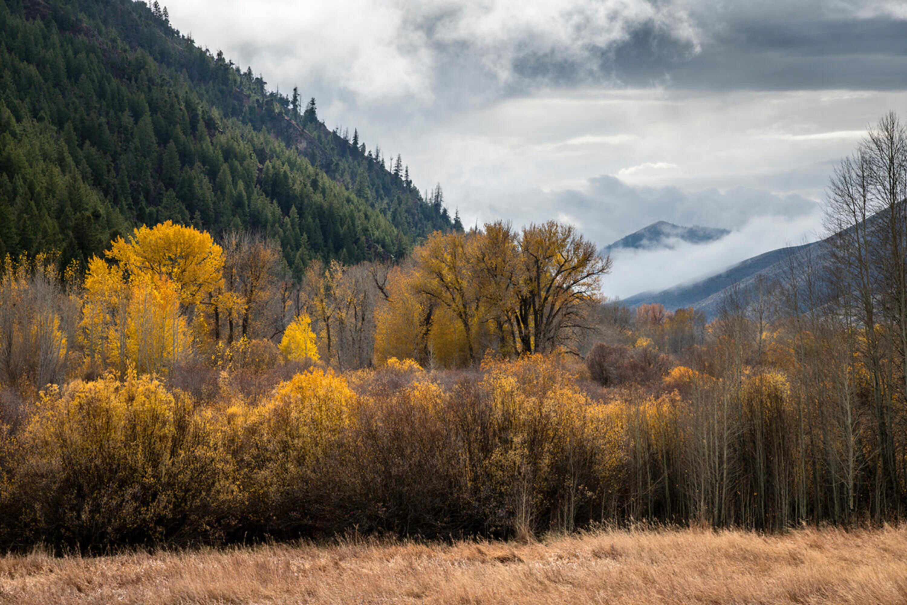Tbd Tbd Road Hailey, ID 83333 - Photo 6 of 13 006_tbd_east_fork_road_lot_7_hailey_id_8