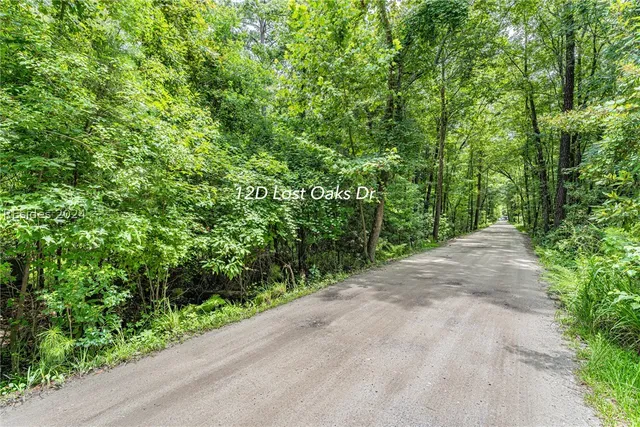 $75,000 | 12 D Lost Oaks Drive, Bluffton, SC 29910