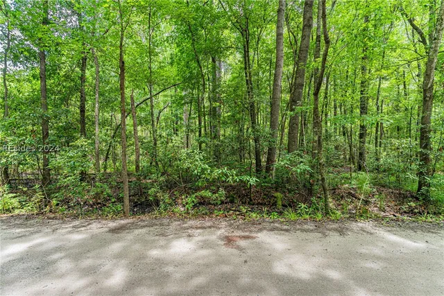 $75,000 | 12 D Lost Oaks Drive, Bluffton, SC 29910