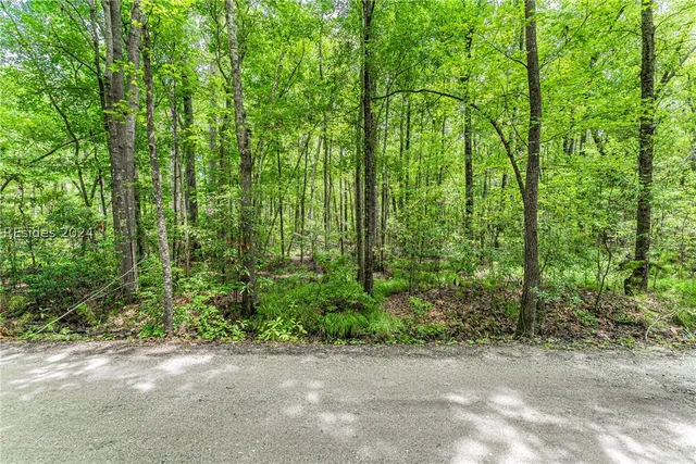 $75,000 | 12 D Lost Oaks Drive, Bluffton, SC 29910