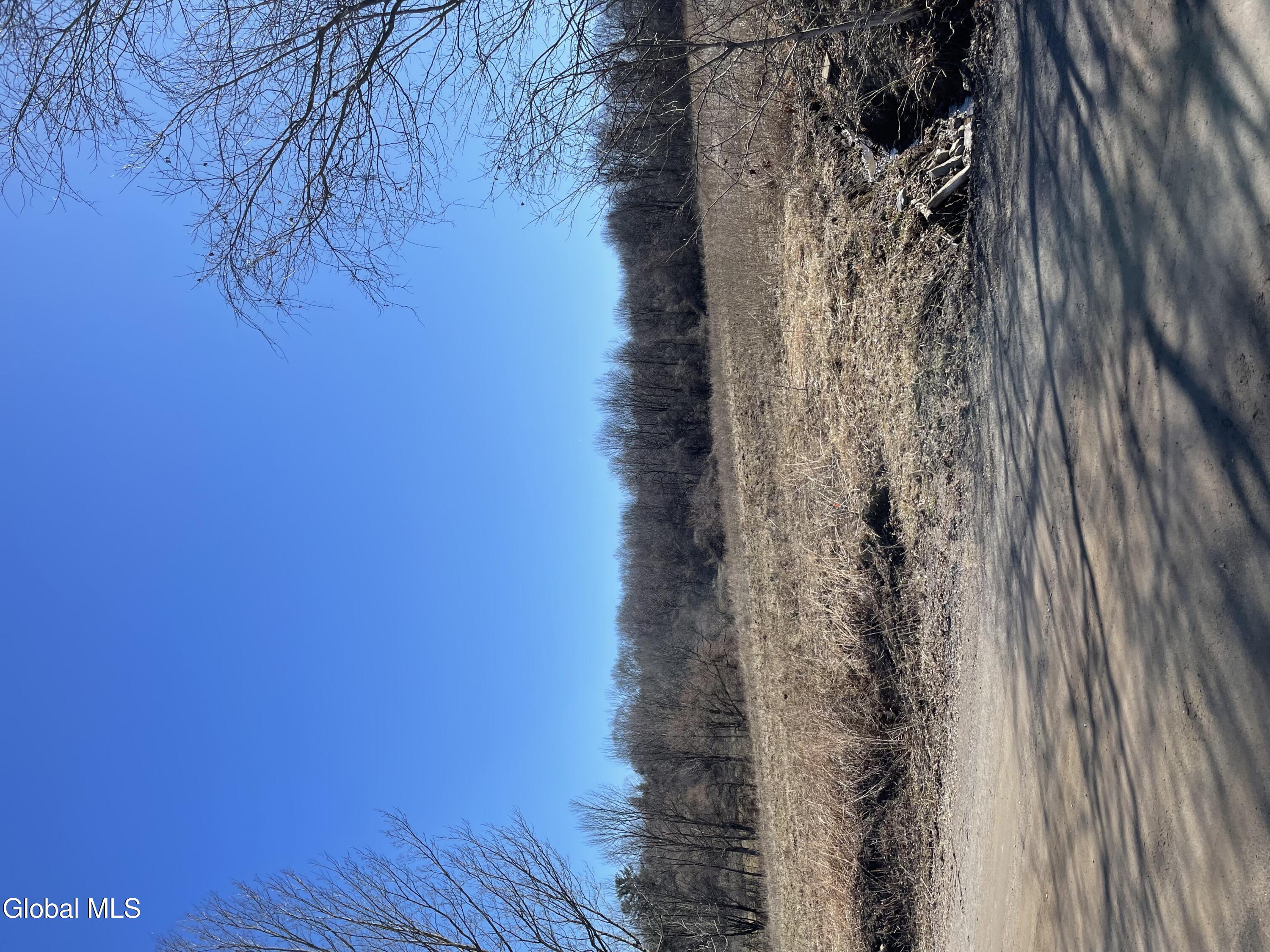 L32.2 Snell Road Fort Plain, NY 13339 - Photo 1 of 7 vacant land