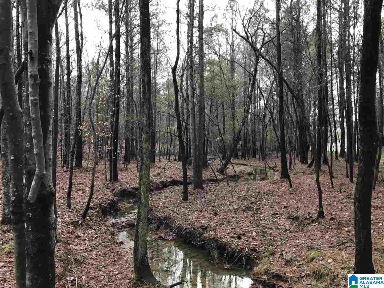 2111 Red Oak Road Helena, AL 35080 - Photo 22 of 34