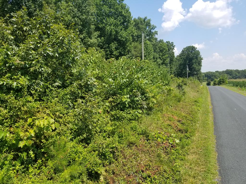 Spring Drive, Unit 24 Appomattox, VA 24522 - Photo 1 of 3 Gallery Image 1