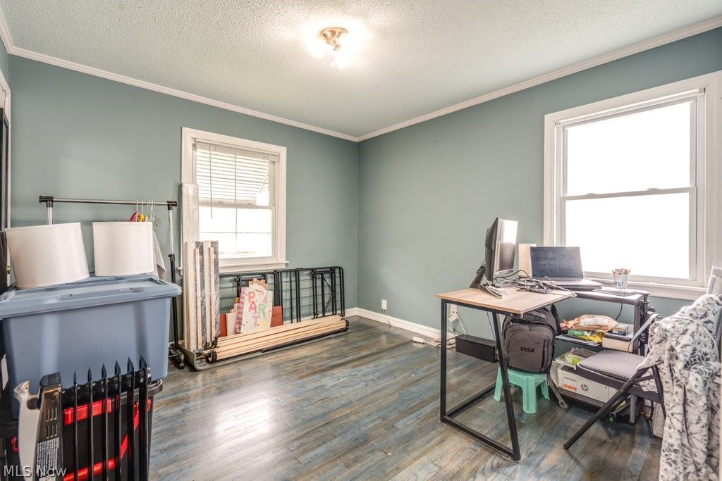 1367 Churchill Road Lyndhurst, OH 44124 - Photo 21 of 30 Room featuring light blue walls, custom wood-finish flooring, two windows with white trim, and a ceiling light fixture