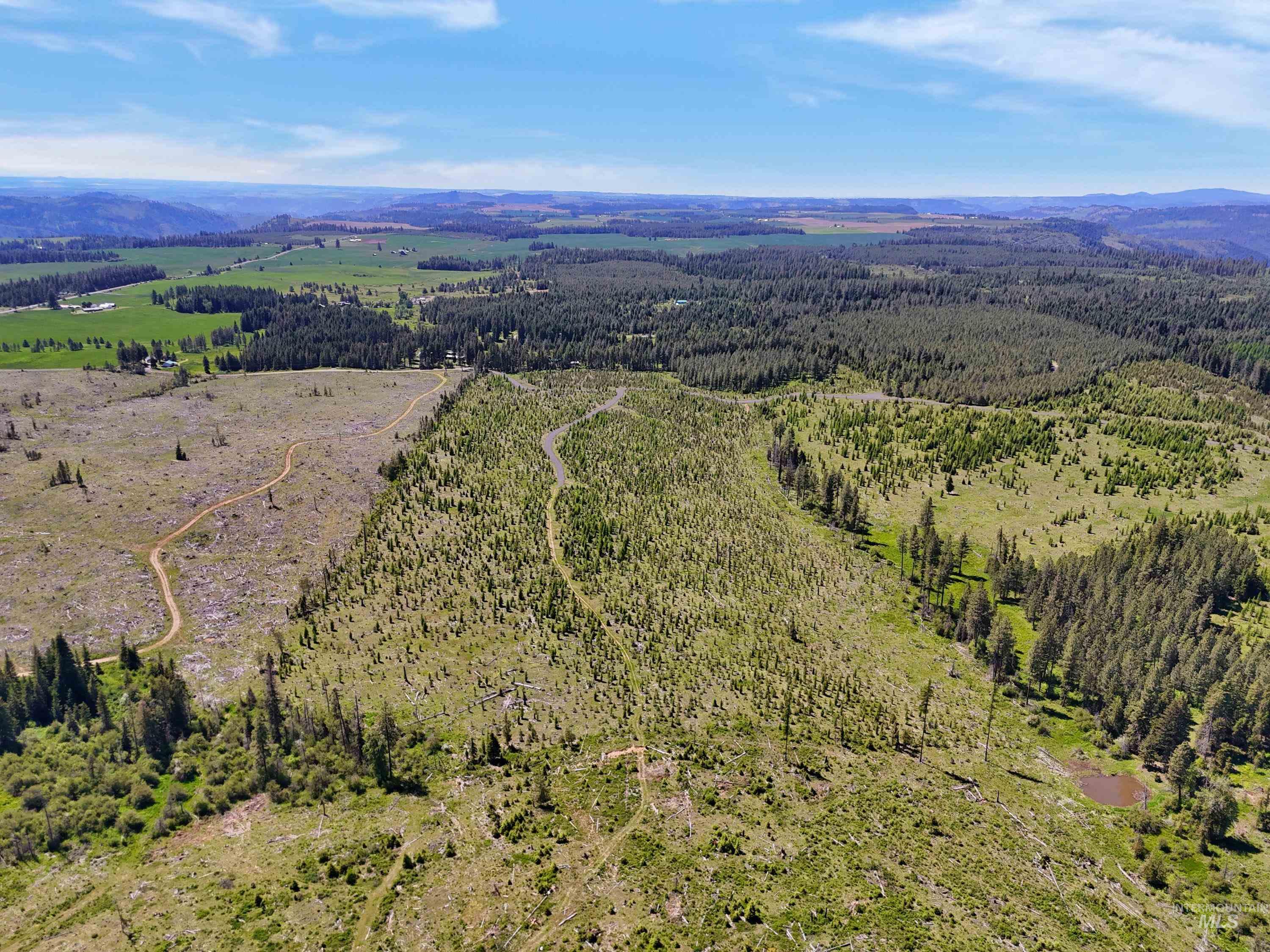 0 Timberline Heights Weippe, ID 83553 - Photo 11 of 12 Drone / aerial view of a forest and a mountain backdrop