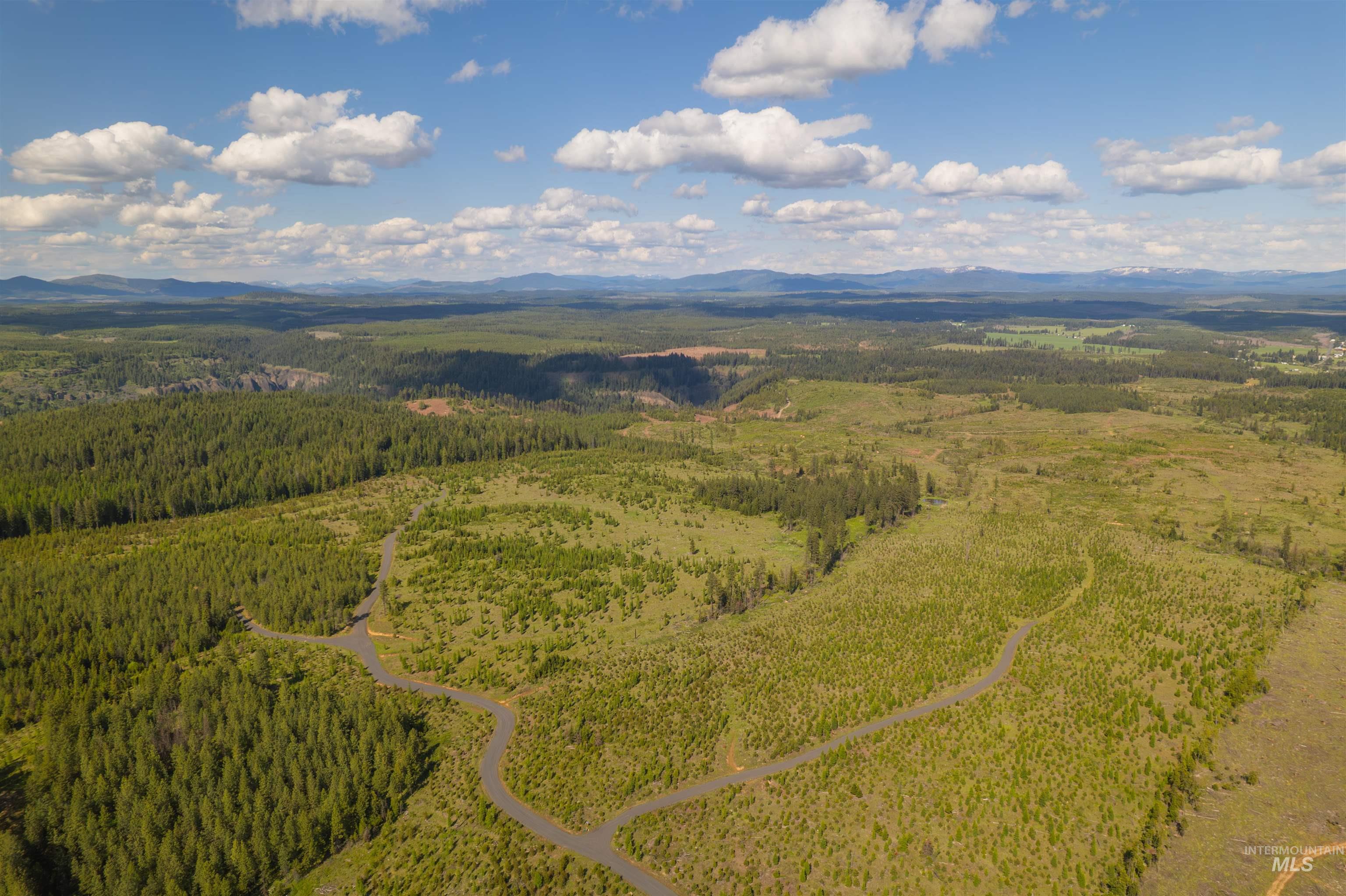 0 Timberline Heights Weippe, ID 83553 - Photo 12 of 12 Aerial view of a heavily wooded area and a mountain backdrop